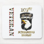 101st Airborne Division OIF Veteran Mousepads