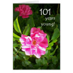 101st Birthday Card - Pink Roses