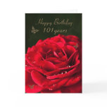 101st Birthday Card with a classic red rose
