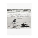 10250#55 postcards by Jill6137 10250#55 postcards