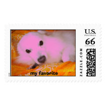 102_0856.jpg, my favorite postage by midnight_angelbloom 102_0856.jpg, my favorite postage