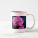 102_4005 MUGS