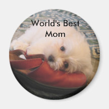 104_0471, World's Best Mom Refrigerator Magnets