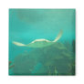 104_3660 - Sting Ray Magnet