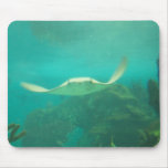 104_3660 - Sting Ray - Mousepad