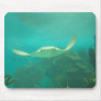 104_3660 - Sting Ray - Mousepad