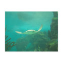 104_3660 - Sting Ray Postcard