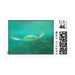 104_3660 - Sting Ray Stamp