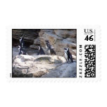 104_3669 - Penguins Stamps