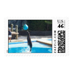 104_3686 - Seal Stamps
