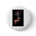 10545#2222222 buttons by Jill6137 10545#2222222 buttons