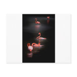 10545#2222222 POST CARD