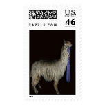 10565_17269_award-winning-Patch-again copy postage