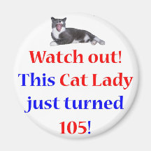 105 Cat Lady Refrigerator Magnets