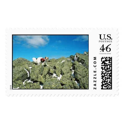 1071670-R2-024-10A-(8x12 sharp) Stamp by pico23