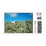 1071670-R2-024-10A-(8x12 sharp) postage
