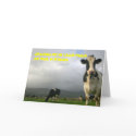 10,000 Cows Can't be Wrong Greeting Card by james_orear2 10,000 Cows Can't be Wrong Greeting Card