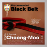 10-11 Recommended Black Belt Do-jang Poster