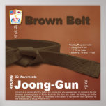 10-8 Low Brown Belt Do-jang Poster