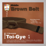 10-9 Middle Brown Belt Do-jang Poster