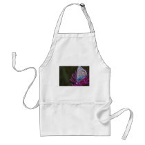 10 aprons