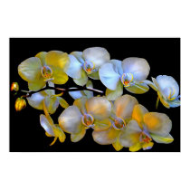 10 Blooms posters