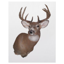 10 Point Buck Customized Letterhead