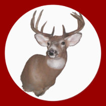 10 Point Buck stickers