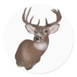 10 Point Buck Sticker