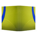 10 Yellow & Blue 1" Avery Binder