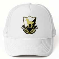 10th SFG-A DUI Mesh Hat