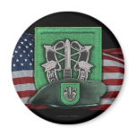 10th special forces flash Fort Carson vets magnet