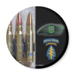 10th special forces flash patch iraq magnet vfw