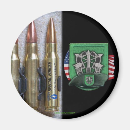 10th special forces group  flash crest iraq vets m magnets