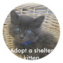 112907 petfinder 028, Adopt a shelter kitten Sticker