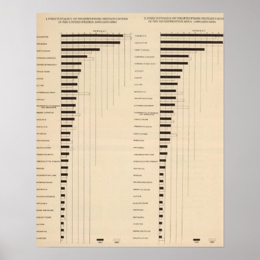 112 Death rates, causes 1900, 1890 Poster