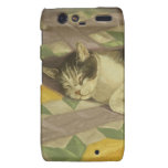 1149 Cat on Quilt Droid RAZR Cover