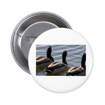 114_9231 PINBACK BUTTONS