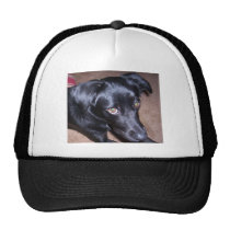 115  Ok, What Now hats
