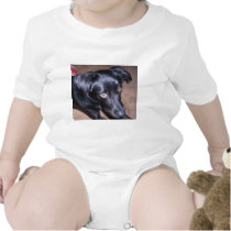 115  Ok, What Now t-shirts