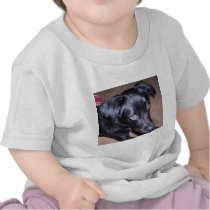 115  Ok, What Now t-shirts