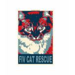 1194465-fiv-cat-rescue