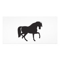 11954399211648903596johnny_automatic_horse picture card