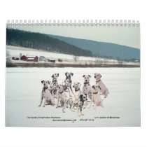 11-2008_02, The Double D Dalmatian... - Customized calendars