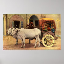 11.99x7.33 Portfolio India Village Print