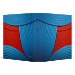 11 Blue & Red 1.5" Avery Binder
