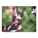 11 koi posters
