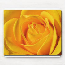 11 mousepads