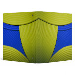 11 Yellow & Blue 1" Avery Binder