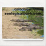 11a2, critchlowzoologicalpark.com mouse mat
